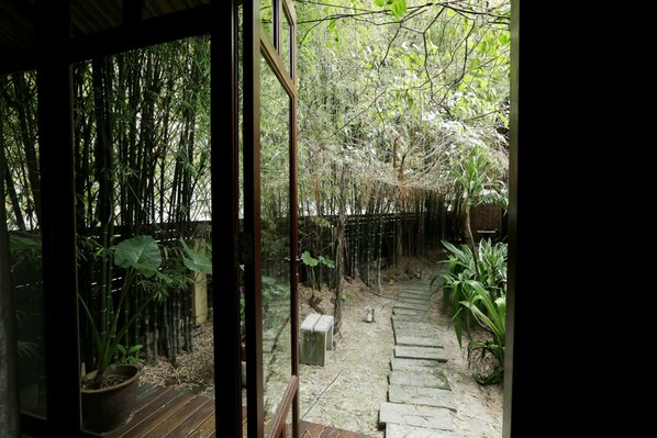 A bamboo garden with a stone pathway leading through it.
