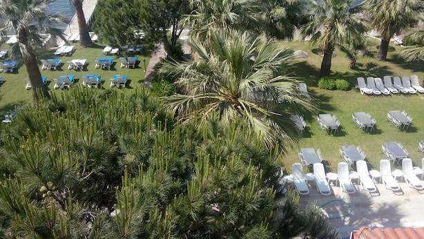 Un resort con tumbonas y palmeras frente al mar.