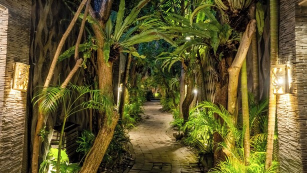 Een pad, omzoomd door weelderige tropische planten en bomen, leidt naar een stenen muur met een lantaarn.
