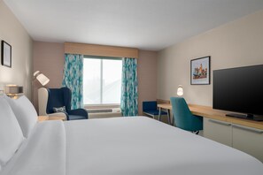 Room, 1 King Bed