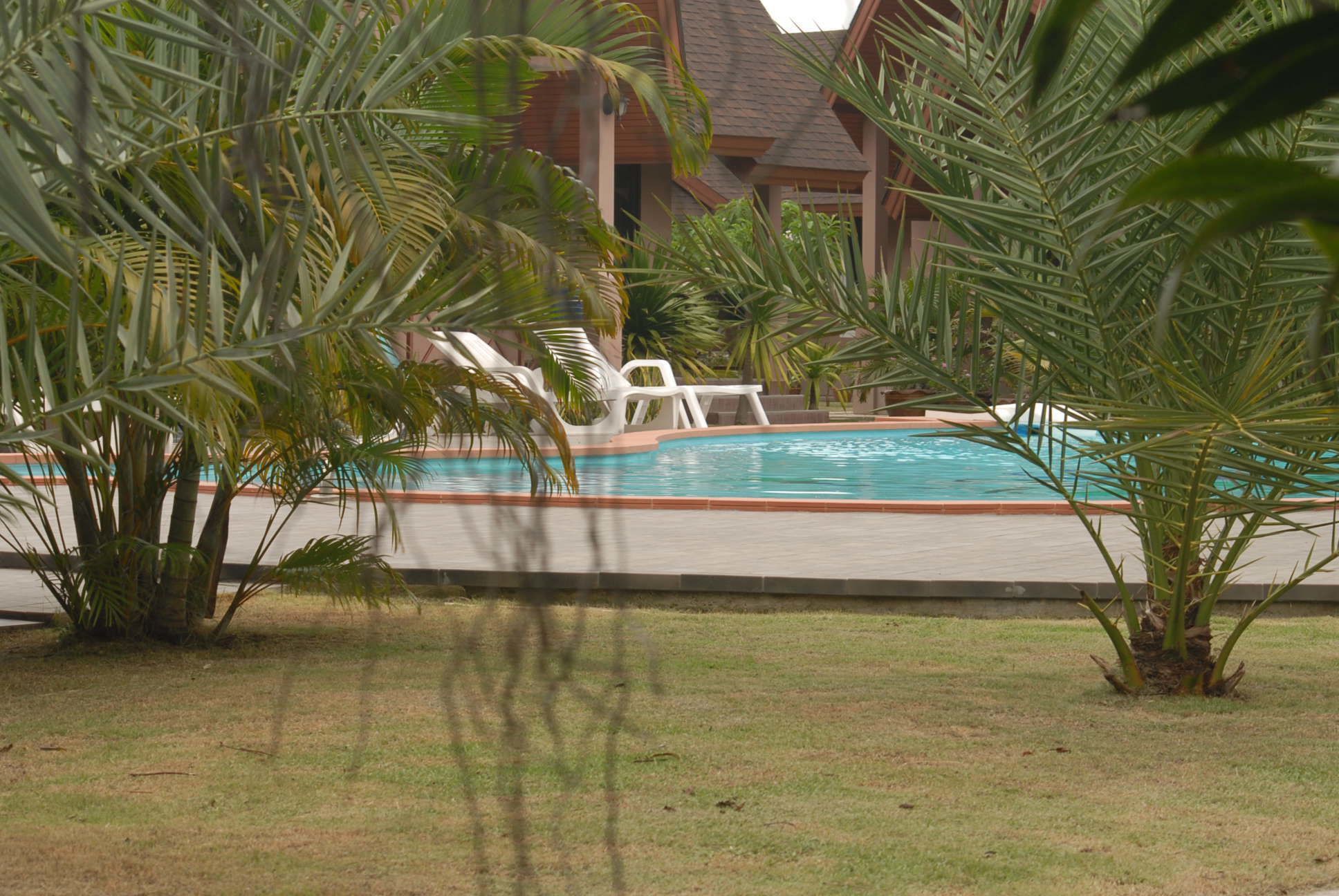 outdoor pool, pool loungers