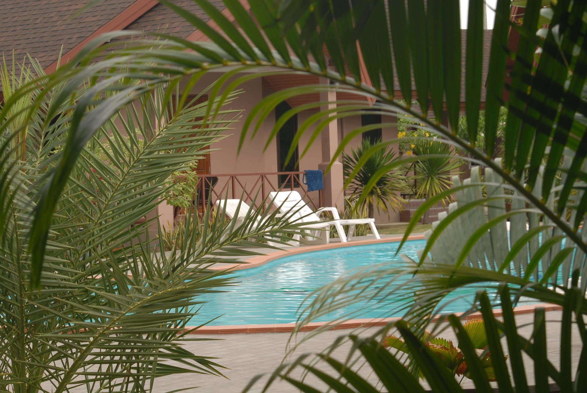 outdoor pool, pool loungers