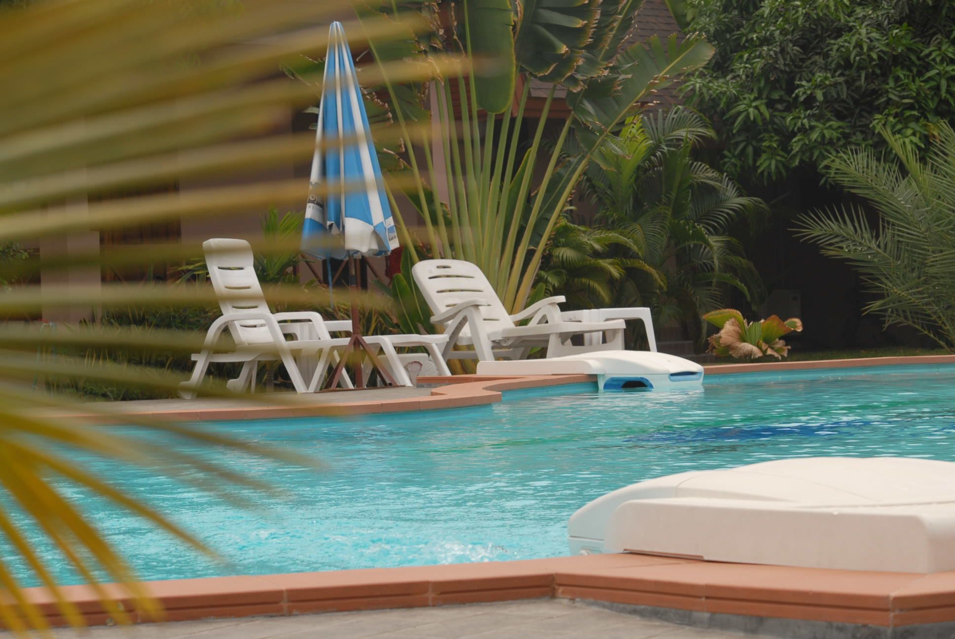 outdoor pool, pool loungers