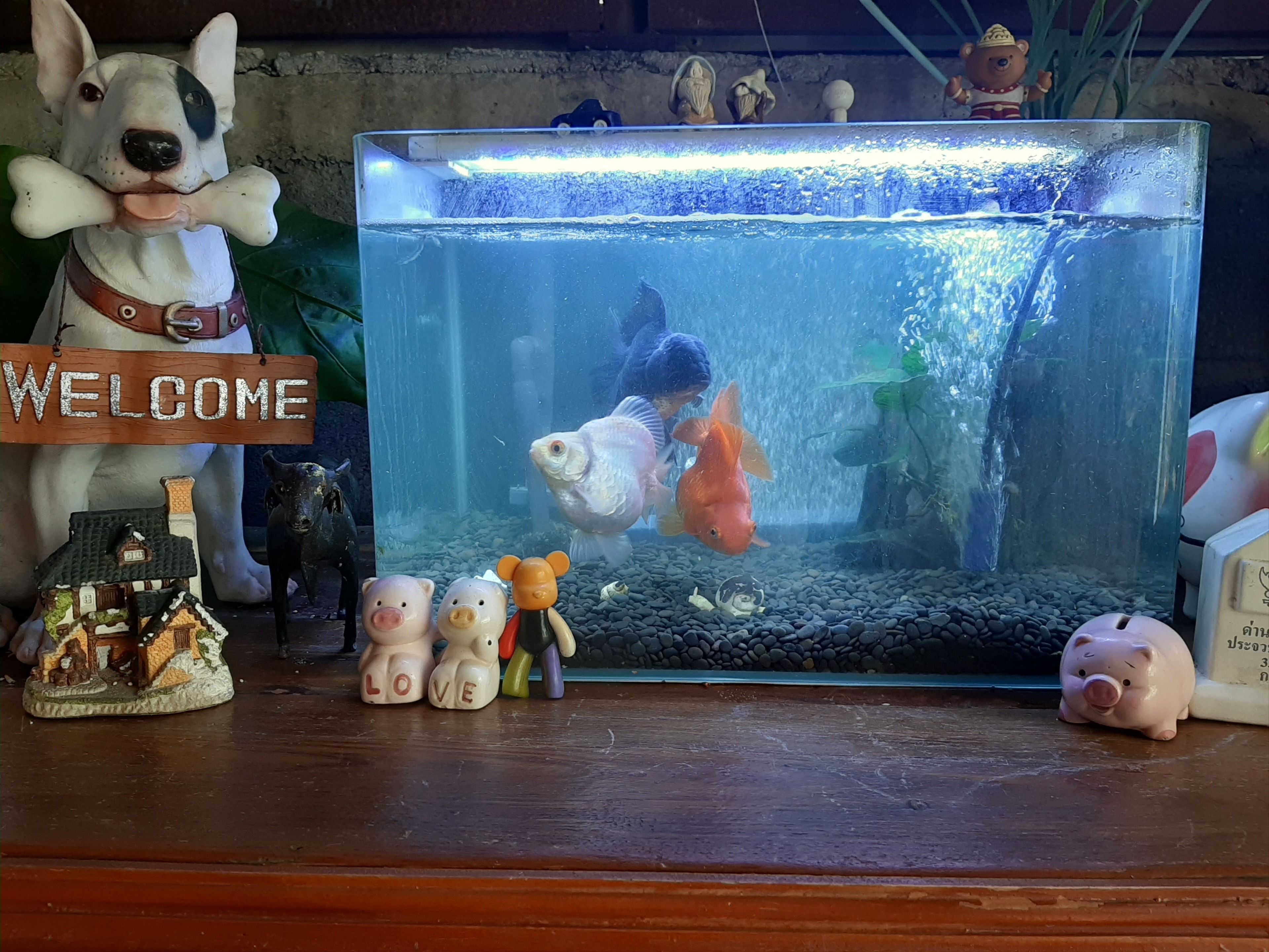 land view from property