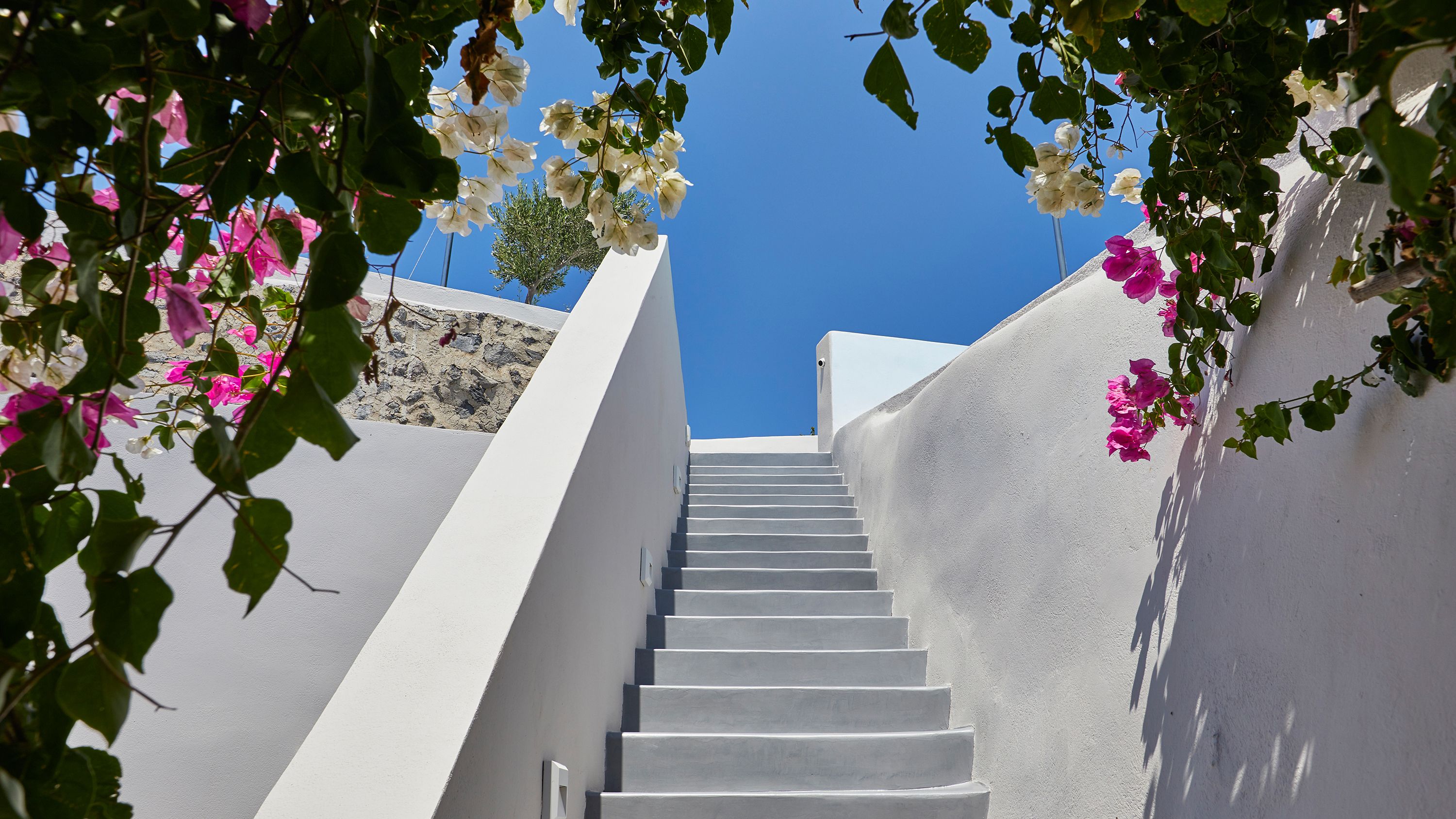 Foto - Amaya Selection of Villas