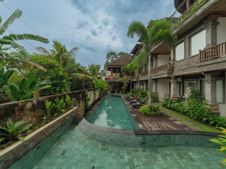 Outdoor pool, sun loungers