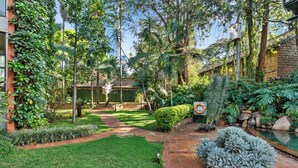 Un exuberante jardín con un sendero pavimentado, diversas plantas y una pequeña zona de piscina.