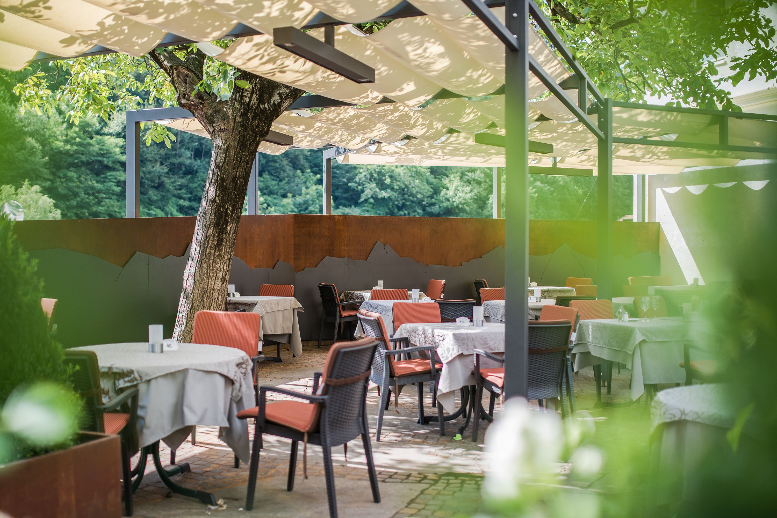 Een terras met tafels en stoelen, een boom en uitzicht op groen.
