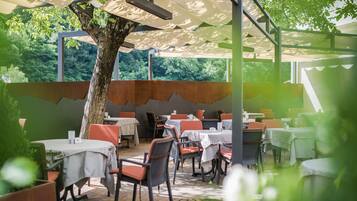 Een terras met tafels en stoelen, een boom en uitzicht op groen.