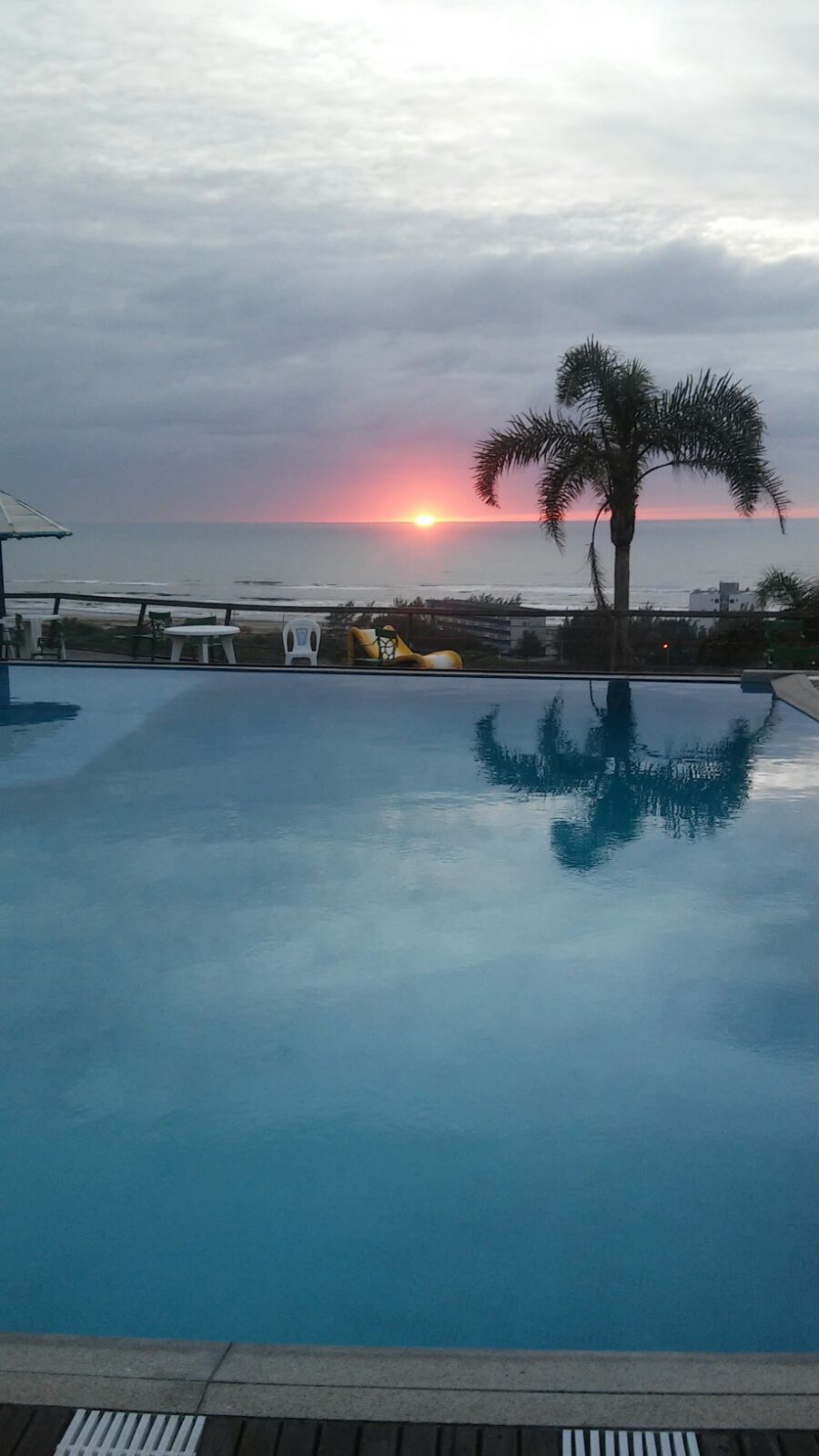 A swimming pool with a sunset view, a palm tree, and a beach in the background.