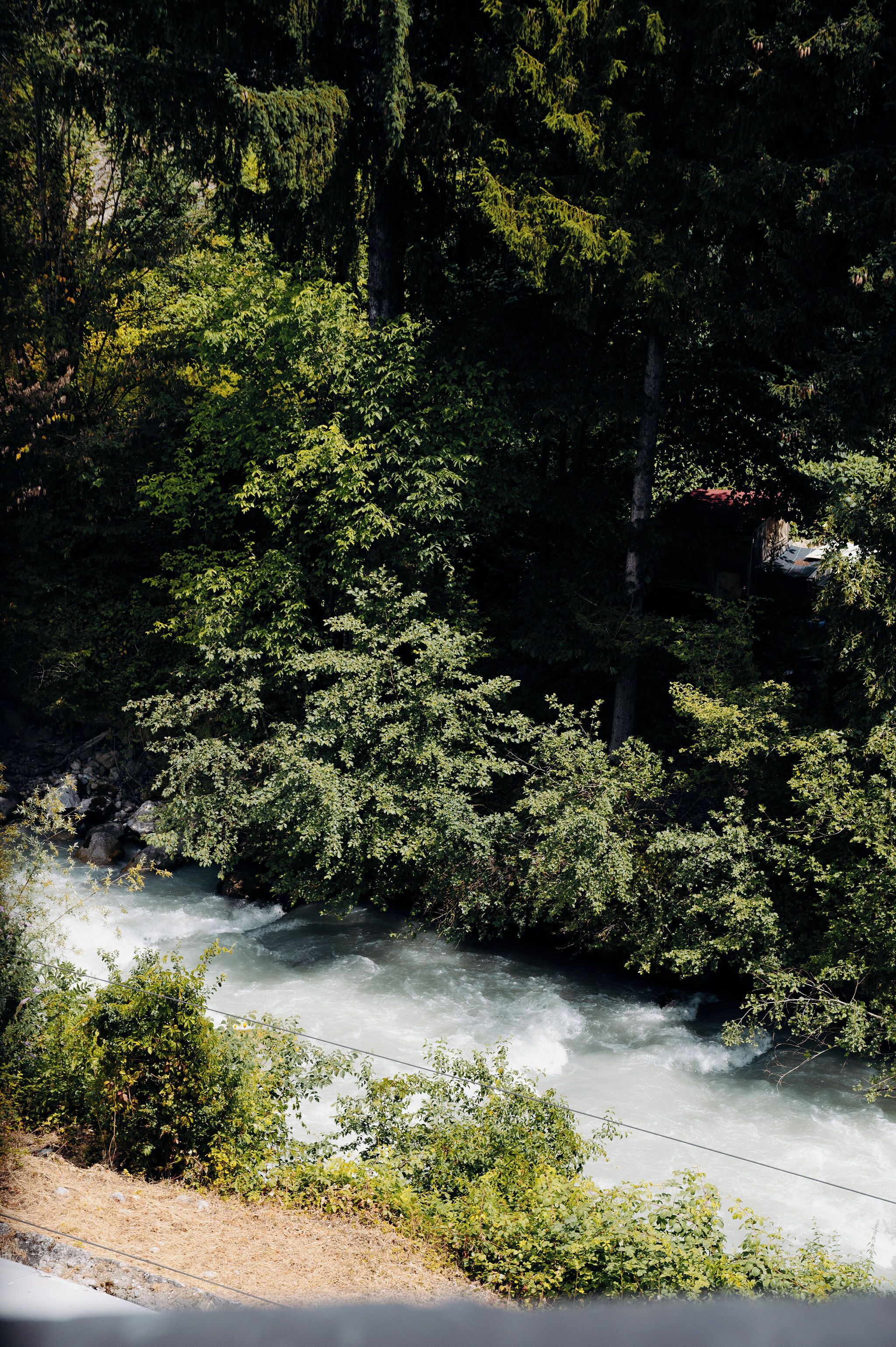 Un río serpentea a través de un bosque denso, con una carretera que lo acompaña.