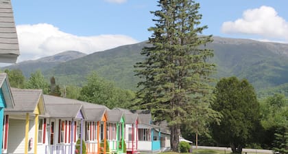 Mount Jefferson View