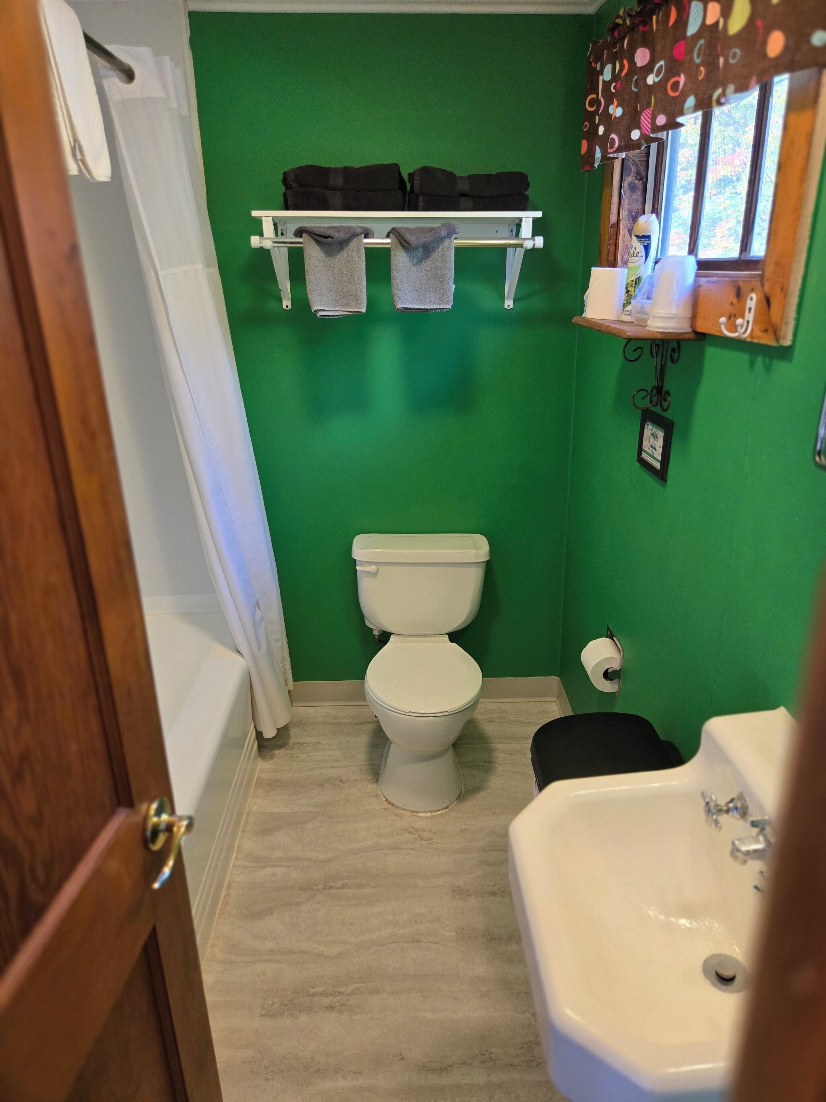 Photo - Mount Jefferson View