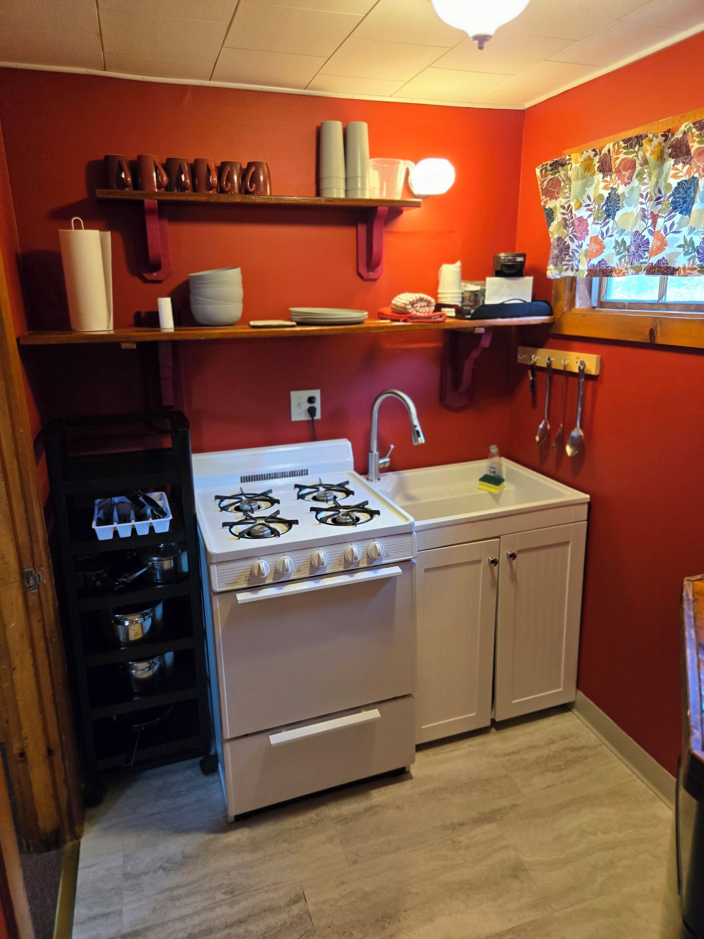 Photo - Mount Jefferson View