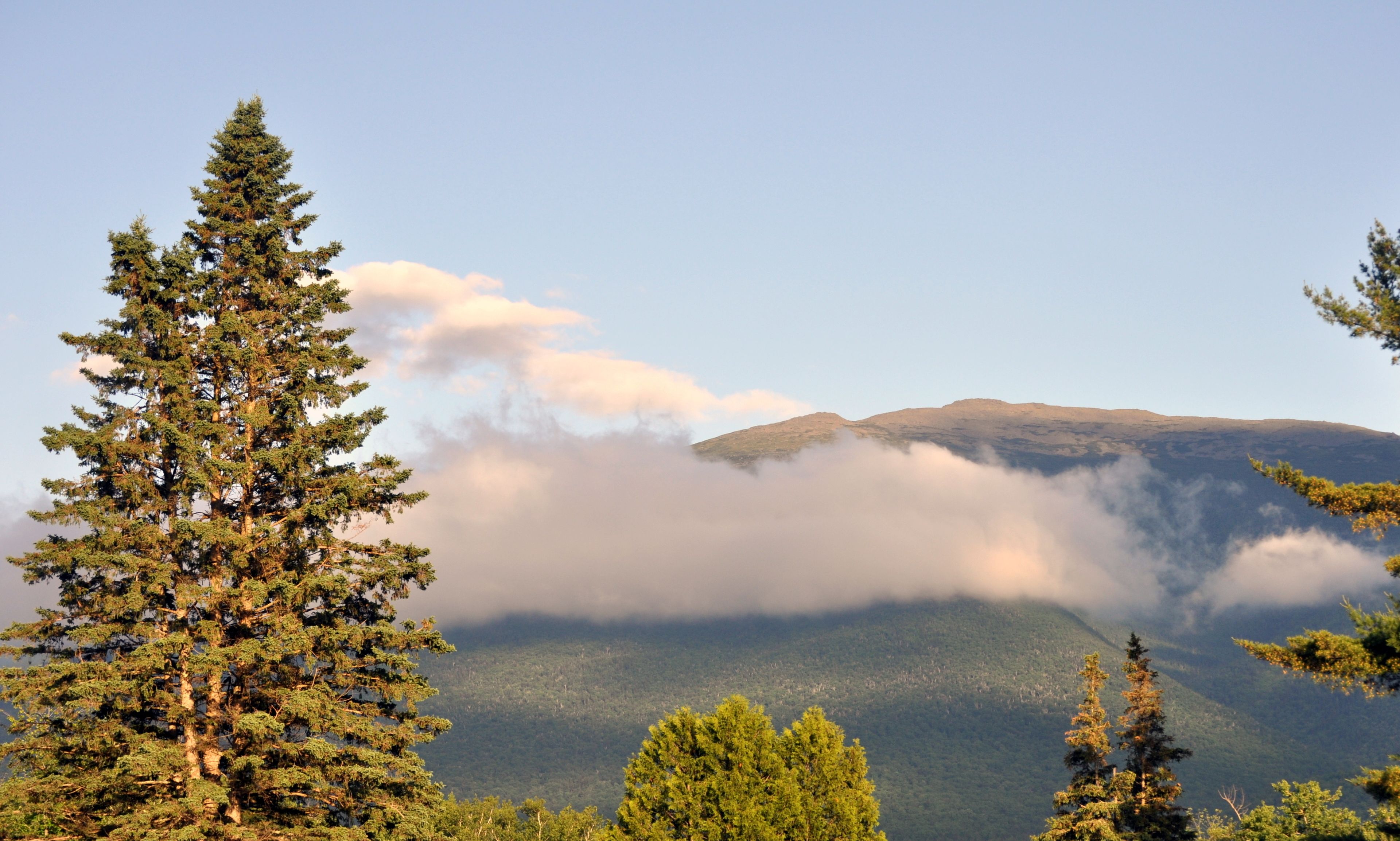 Photo - Mount Jefferson View