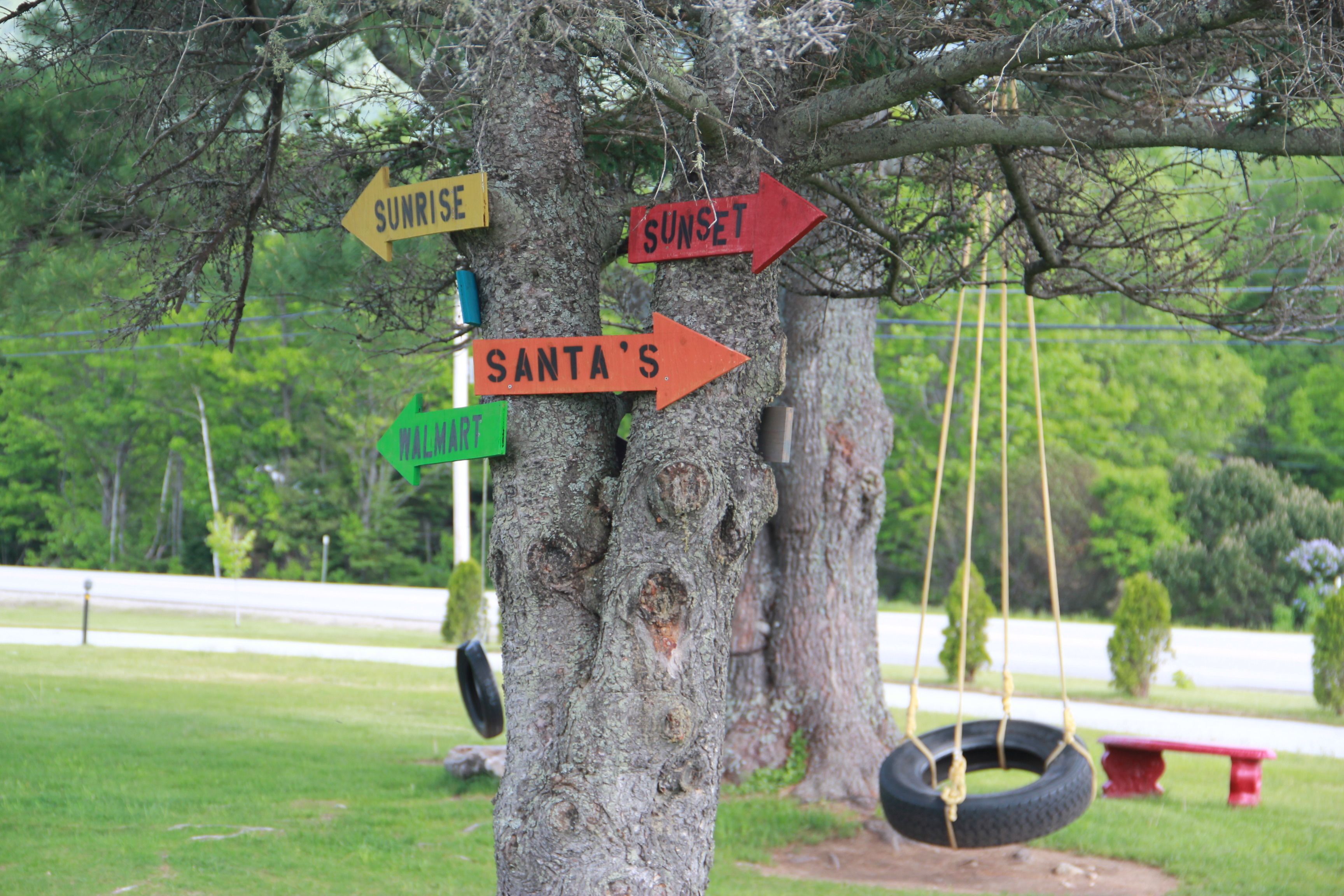 Photo - Mount Jefferson View