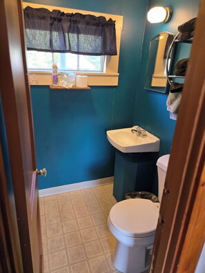 A bathroom with a toilet, sink, and window with a curtain.