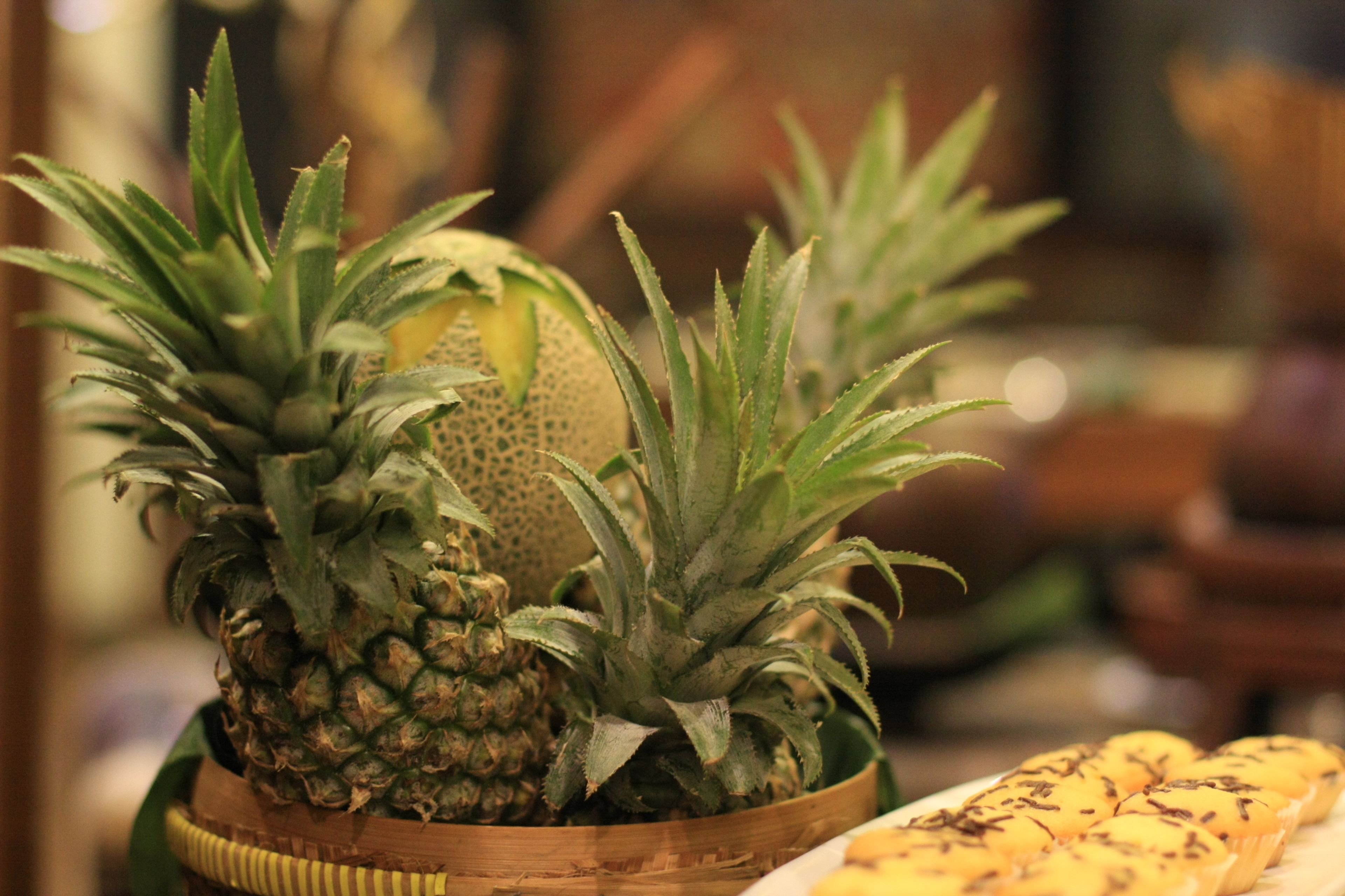 Photo - Crystal Lotus Hotel Yogyakarta