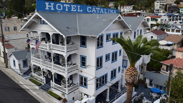 A multi-story hotel with a balcony on the second floor, a sign reading "HOTEL CATALINA," and a palm tree in the foreground. - Studio 9 Hotel Catalina (Avalon)