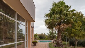 Un bâtiment moderne doté de grandes fenêtres, d’un chemin en briques, d’une piscine et de diverses plantes.