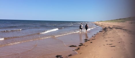 Ubicación cercana a la playa