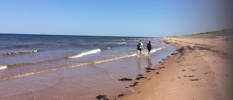 Vlak bij het strand