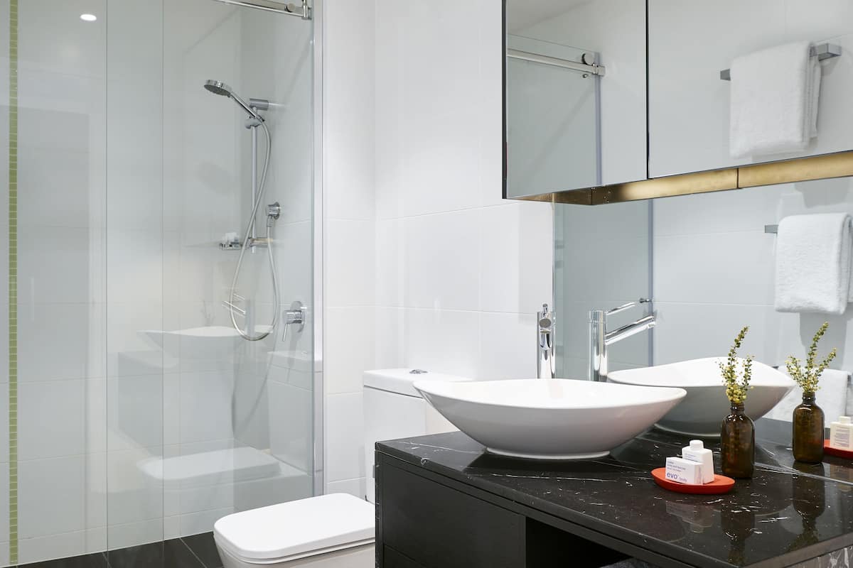 shower, free toiletries, hair dryer, towels