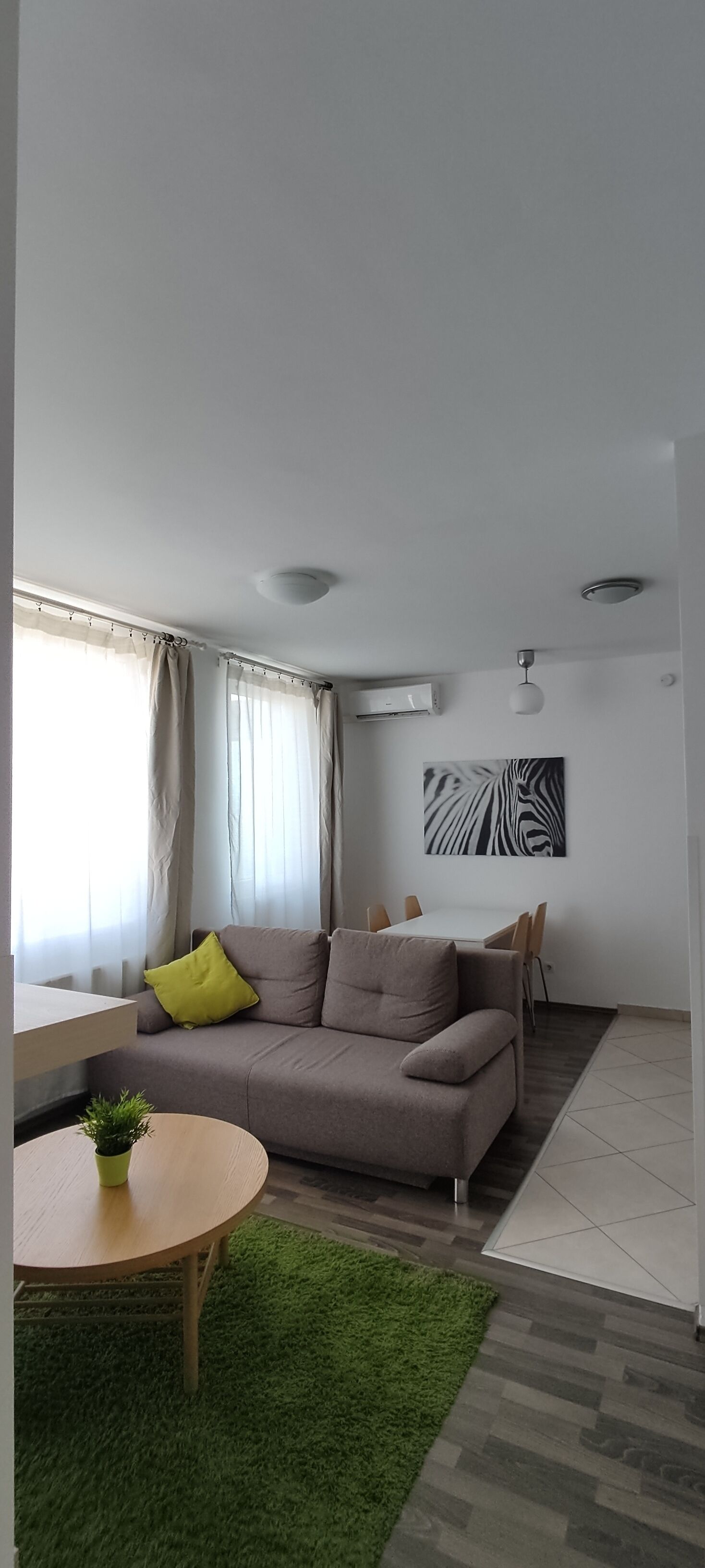 Una sala de estar moderna con un sofá gris, una pequeña mesa redonda de madera con una planta, un tapete verde y un cuadro de pared con estampado de cebra.