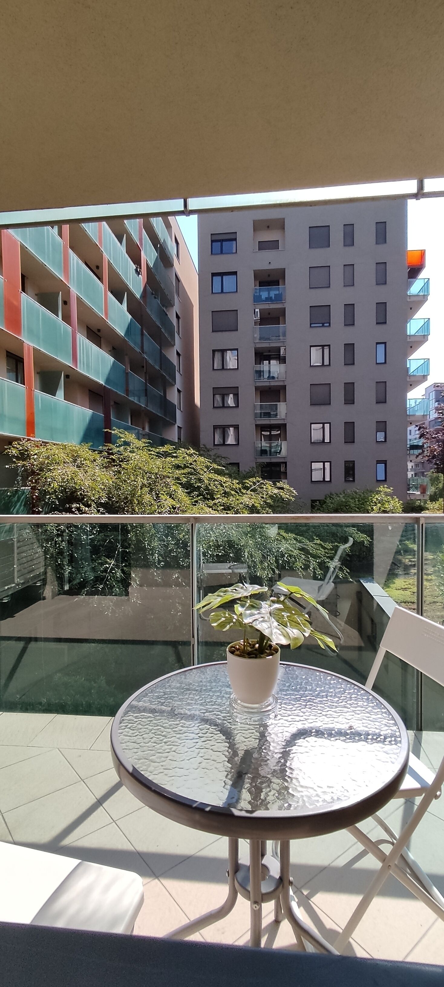 A glass table with a potted plant on a balcony with a view of a multi-story building.