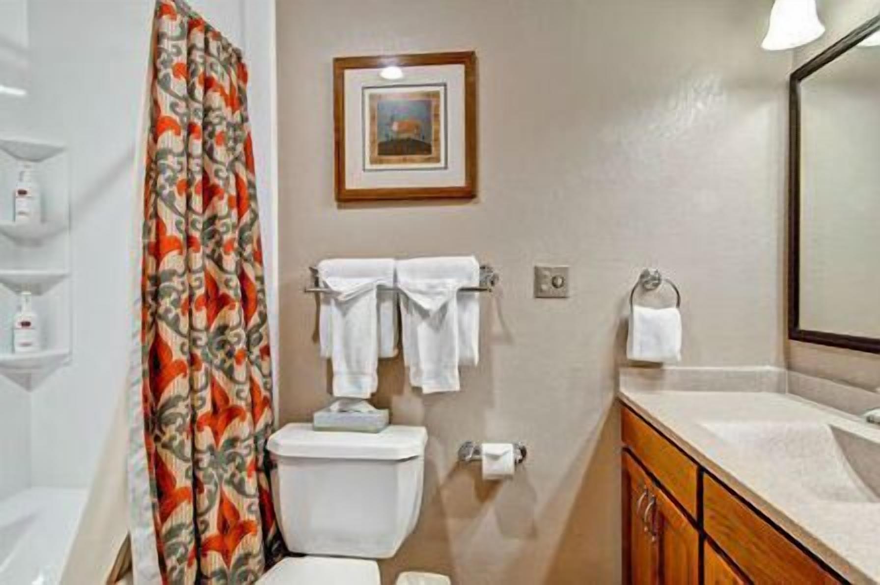 Ein Badezimmer mit Toilette, Waschbecken, Duschvorhang und einem gerahmten Bild an der Wand.