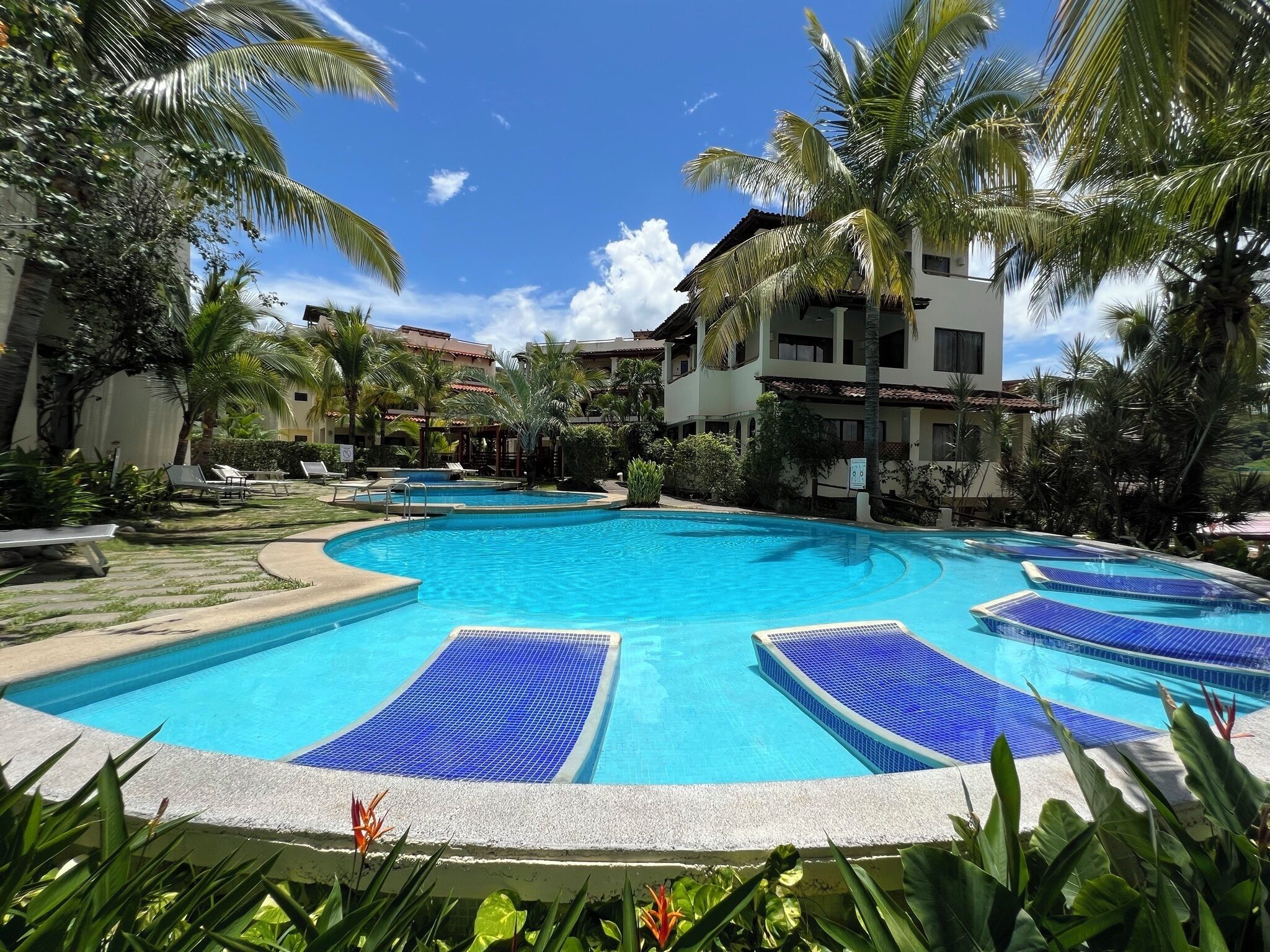 Piscina de un complejo turístico con varias pistas, rodeada de palmeras y sillas de descanso.
