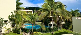 Tropical Gardens