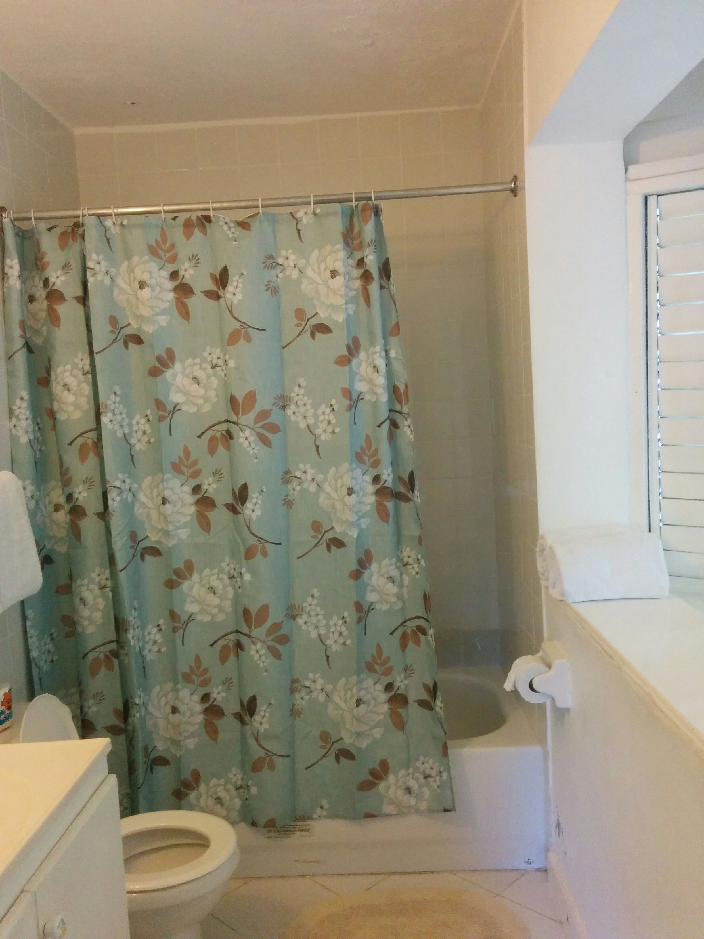 Combined shower/tub, deep soaking tub, free toiletries, hair dryer