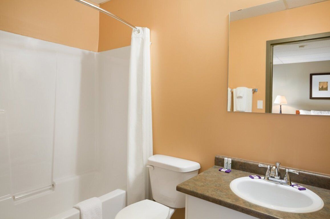 Un baño con ducha, inodoro, lavabo y espejo.