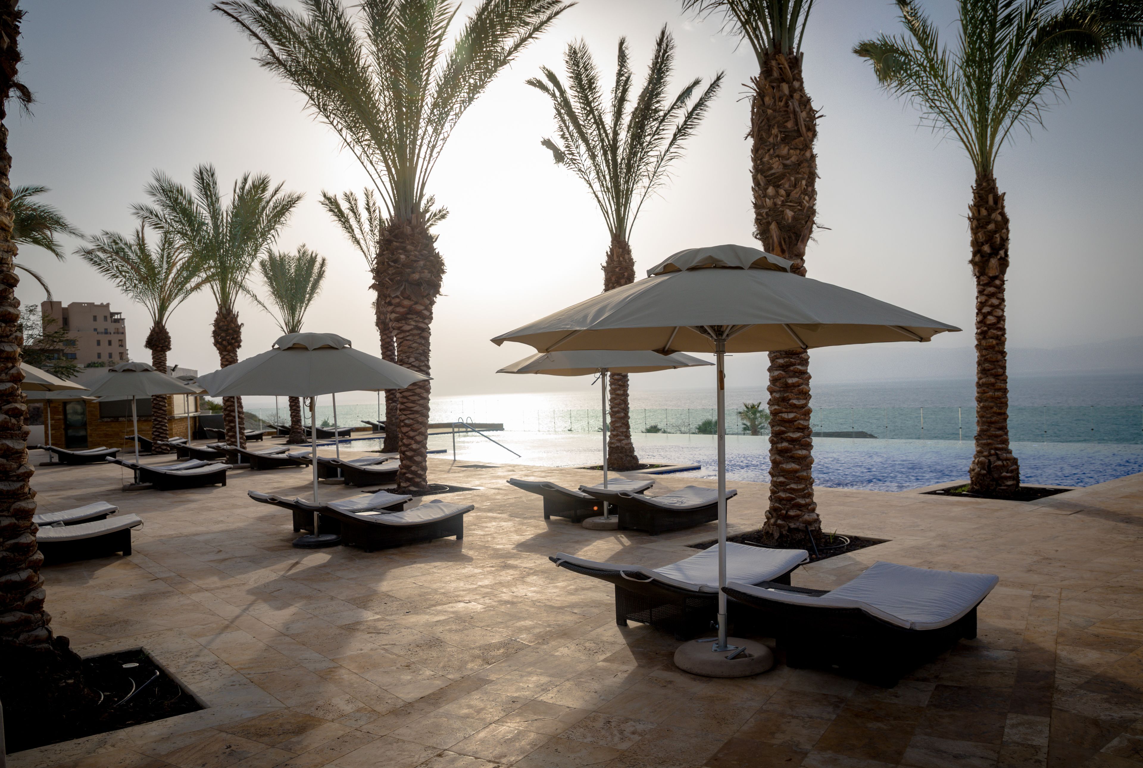 A sunlit outdoor lounge area with palm trees, lounge chairs, and umbrellas overlooking a body of water.
