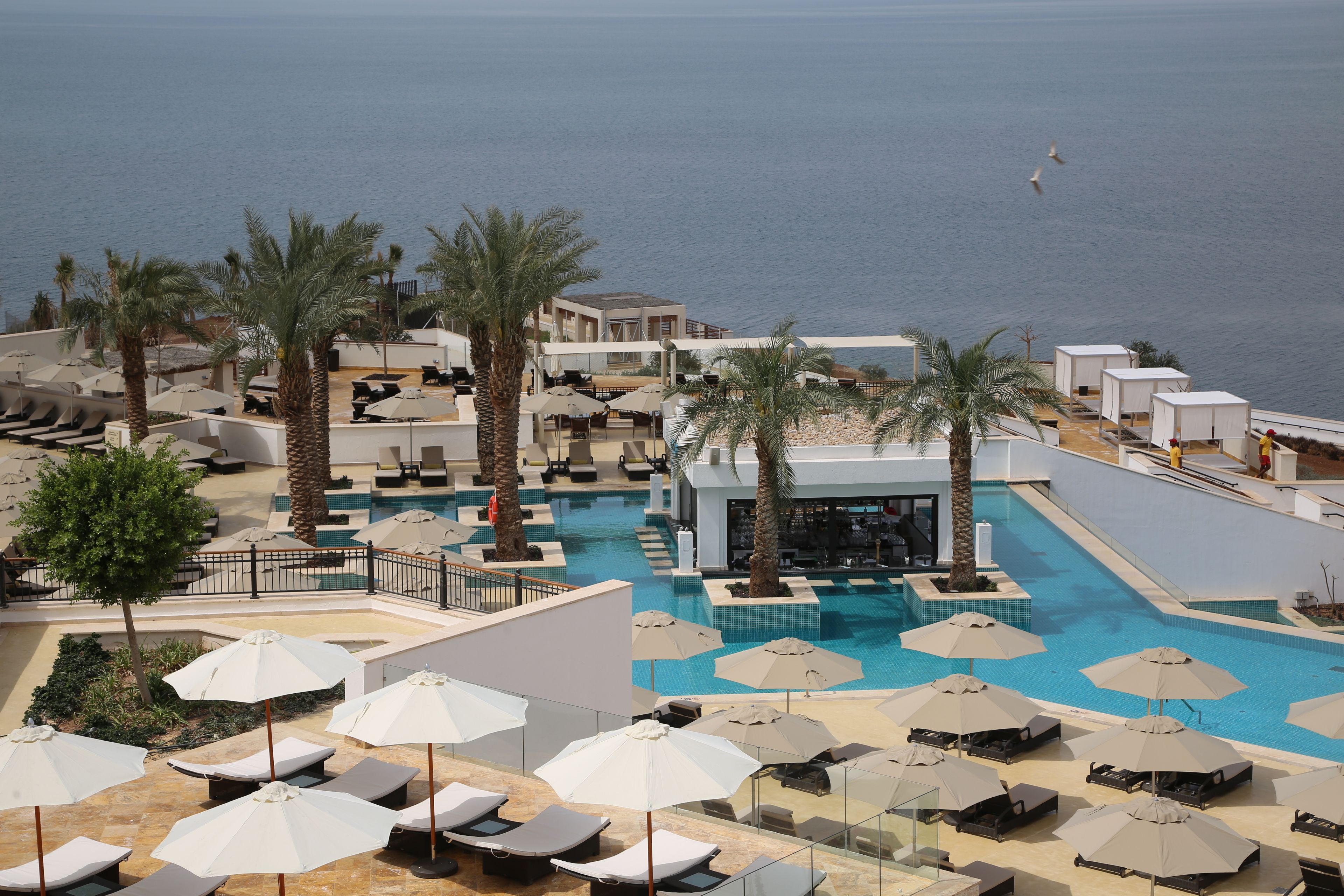 A resort pool area with sun loungers and umbrellas, a pool, palm trees, and a view of the sea.