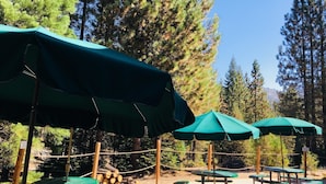 Mesas de picnic y sombrillas en un área boscosa.
