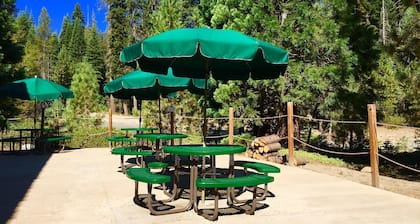 Stony Creek Lodge