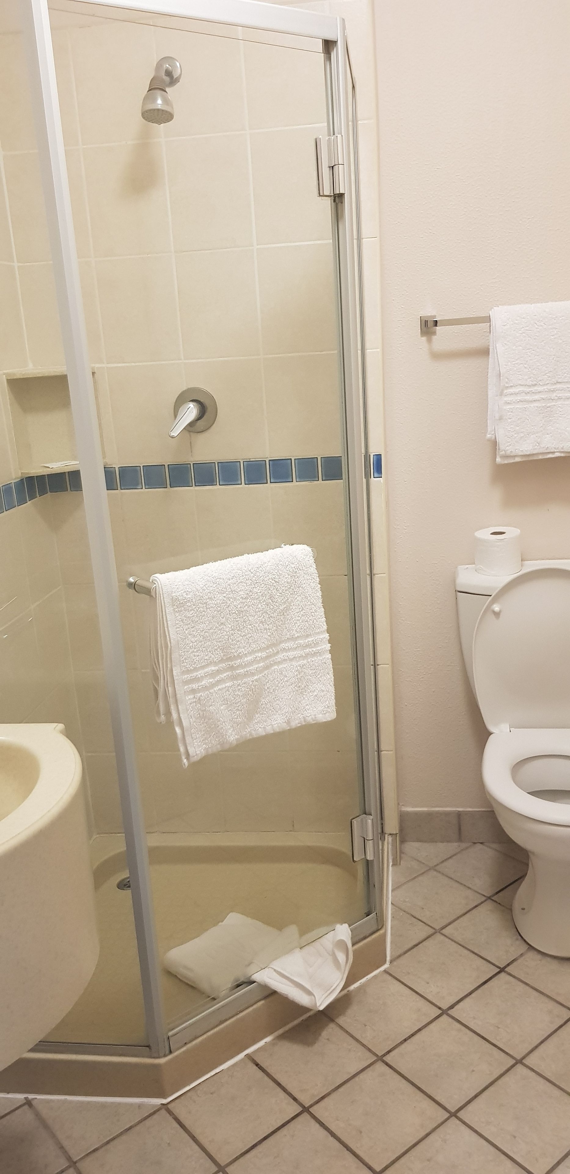 A bathroom with a glass-enclosed shower, a toilet, and a sink.