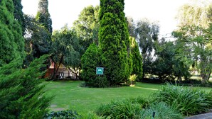 A well-maintained garden with a variety of shrubs and a central tree.