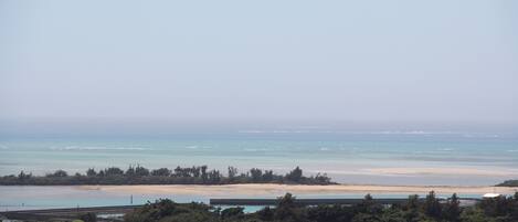 A coastal landscape with fields, trees, and a beach.