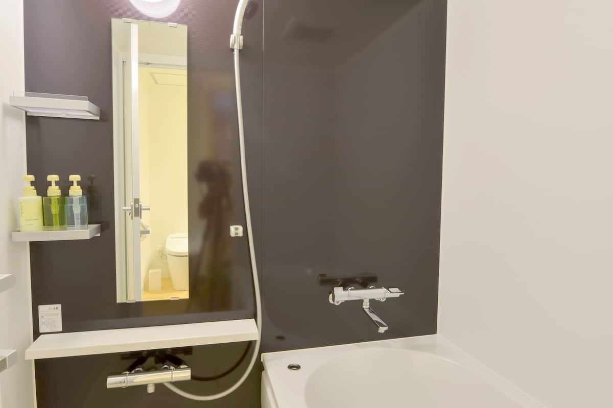 shower, free toiletries, hair dryer, slippers