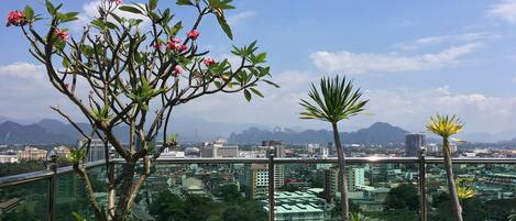 A rooftop garden with a view of a cityscape and mountains in the distance.
