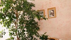 Free daily buffet breakfast - Hotel Resi & Dep (Vigonza)