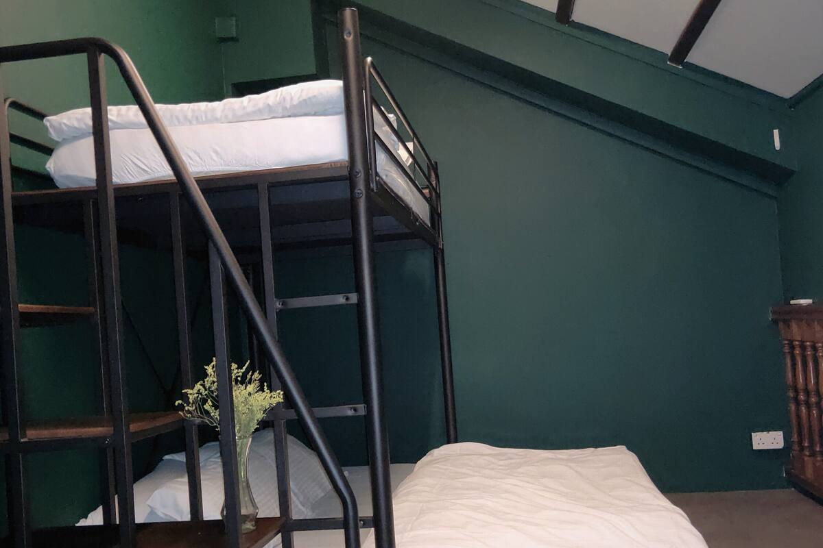 A bunk bed with a wooden ladder and a small plant.