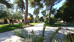 A stone pathway leading to a building surrounded by trees and greenery. - The Mediterranean Village San Antonio (Biograd na Moru)