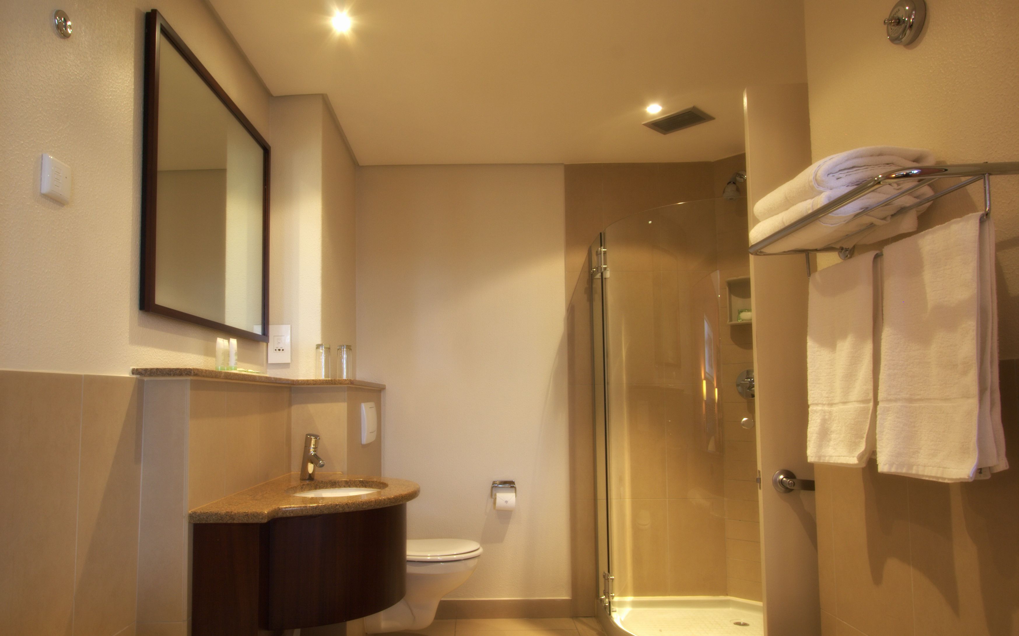 separate bathtub and shower, free toiletries, hair dryer, bidet