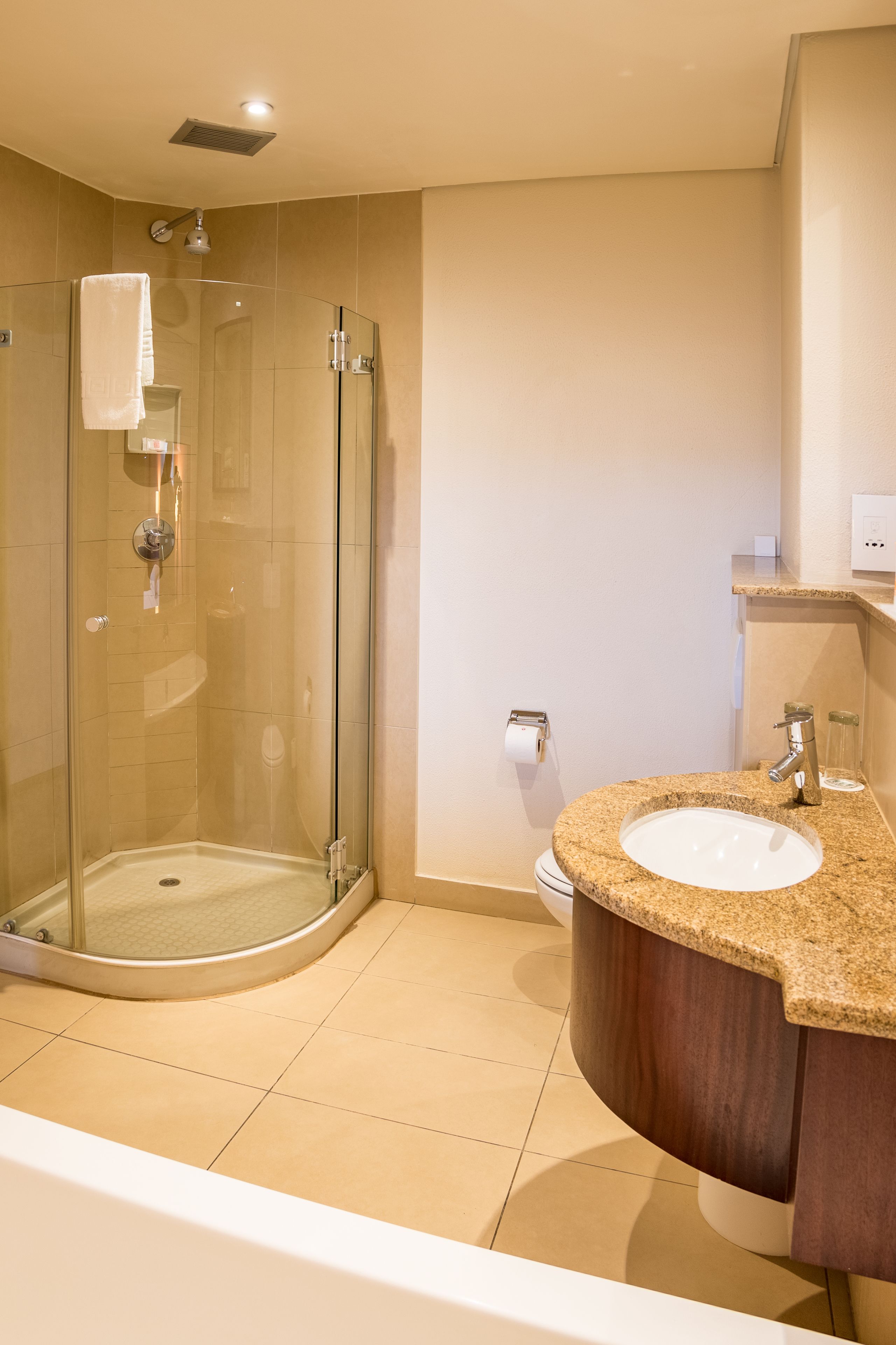 separate bathtub and shower, free toiletries, hair dryer, bidet