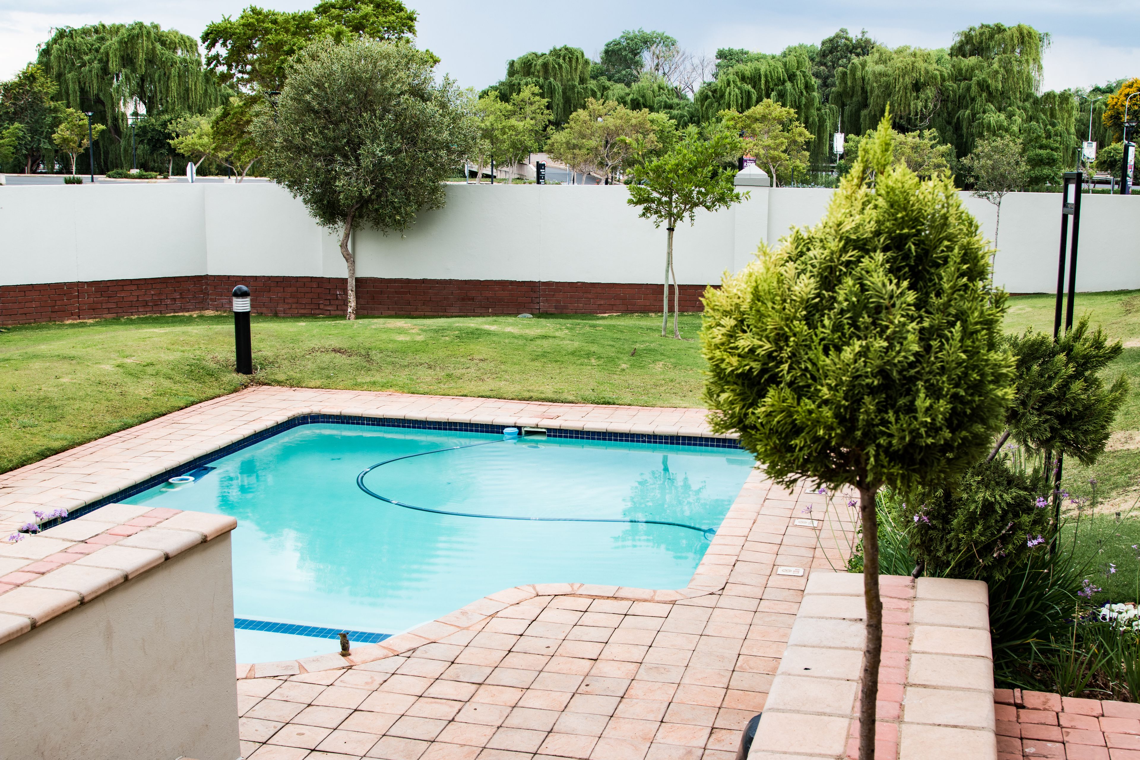 Una piscina rectangular amb un videt de rajola, envoltada per una zona verda amb arbres i una paret blanca.