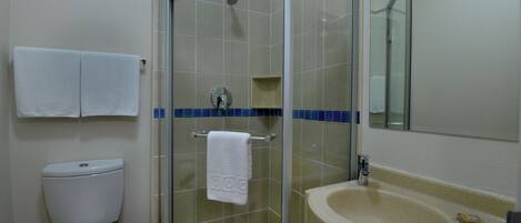 A bathroom with a toilet, a shower, and a sink.